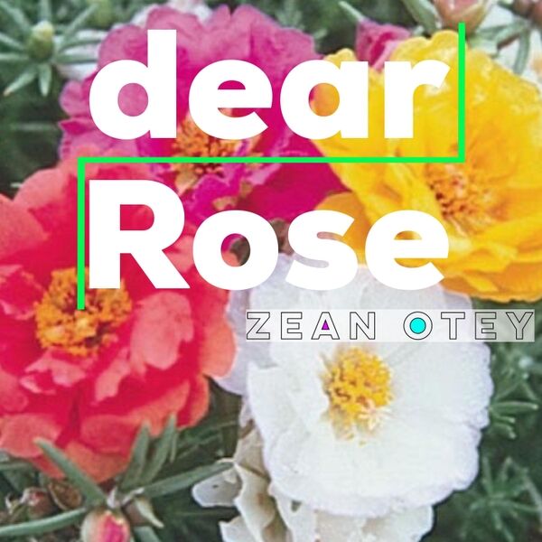Cover art for Dear Rose